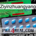 Ziyinzhuangyang new03